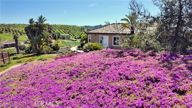 Building Photo - 31418 Cll De Talar