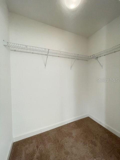 Building Photo - 20418 Carolina Cherry Ct