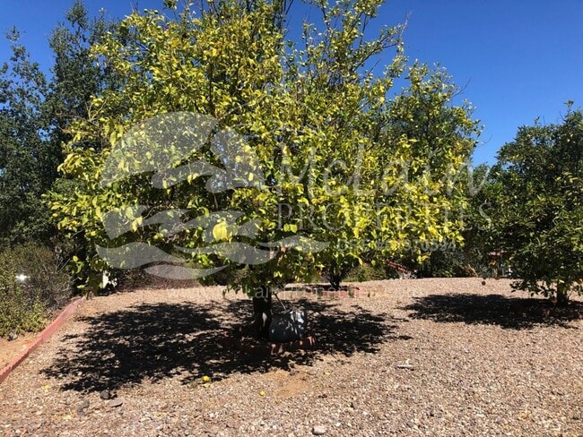 Building Photo - Gorgeous 3 Bed Home In San Diego Country Estates - Ramona