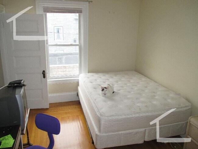 Building Photo - Really nice 5 bed 2 bath in Brighton....