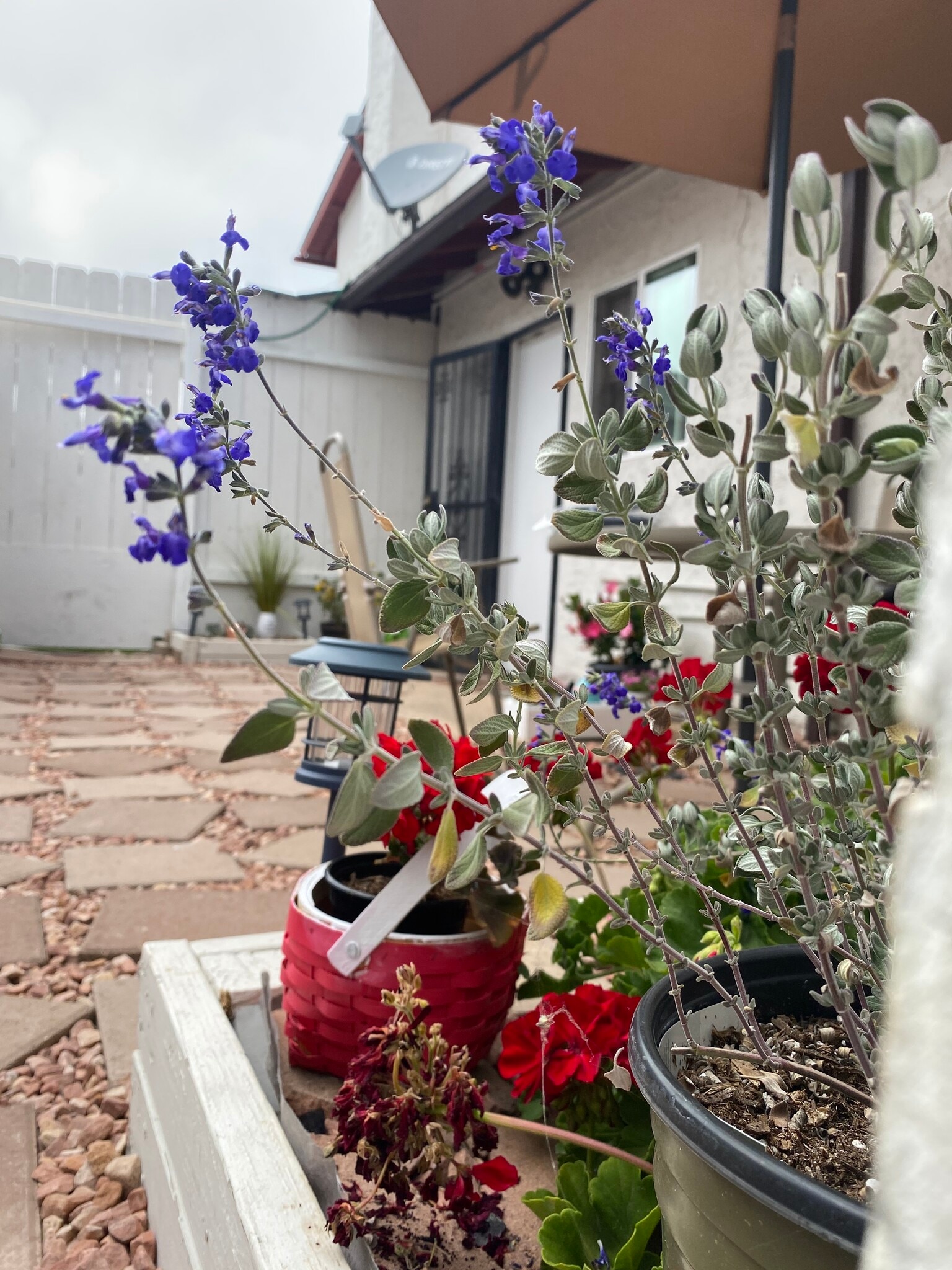 Building Photo - 7008 Dennison St