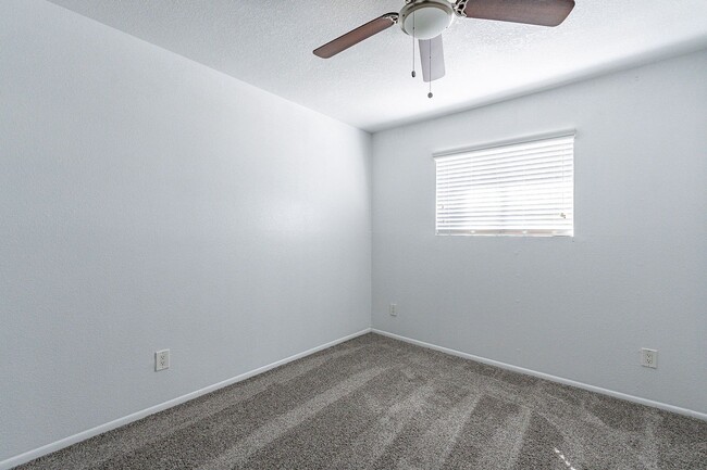 Building Photo - NEW CARPET!