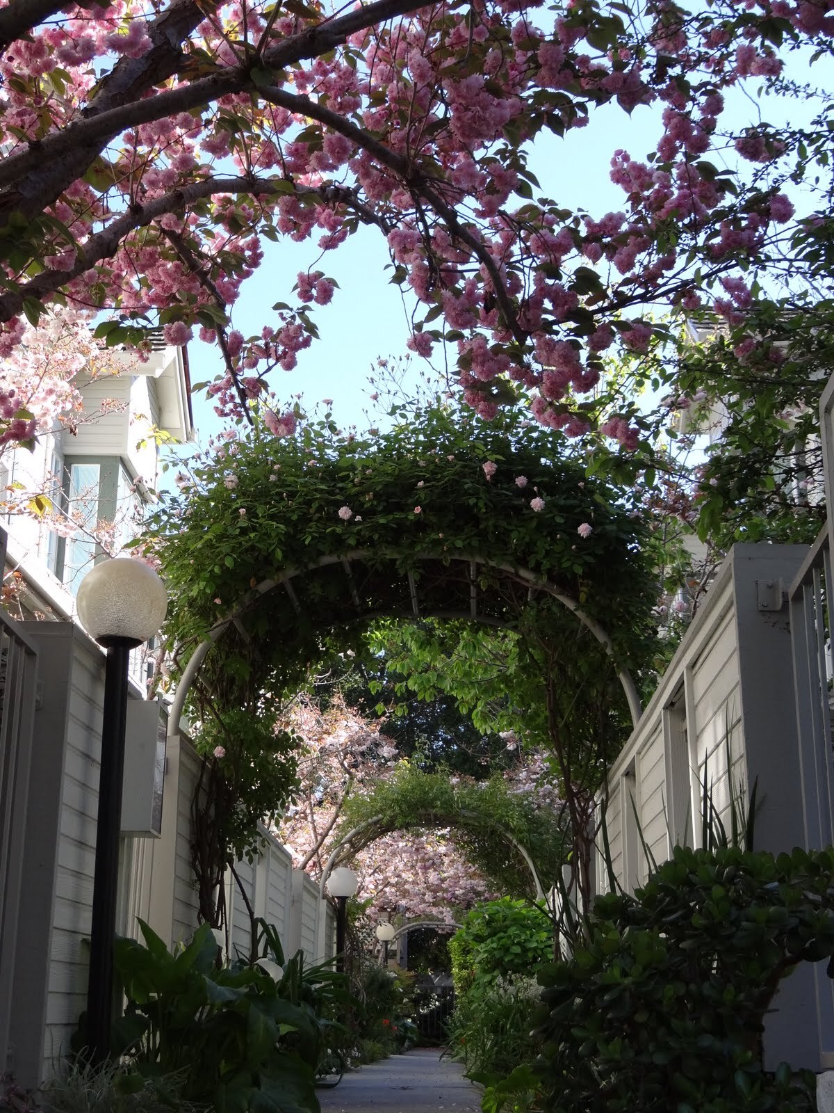 Building Photo - 964 Belmont Ter