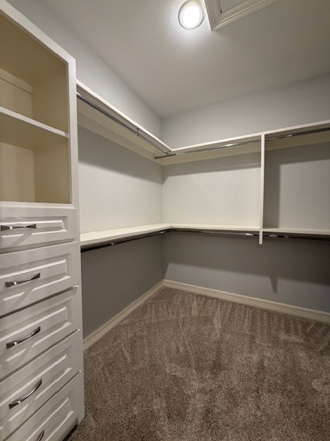 Building Photo - 2504 Red Raider Ave