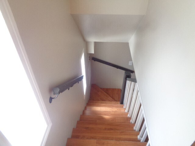 Building Photo - 2225 Mimosa Dr