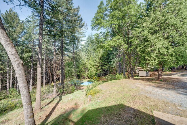 Building Photo - Updated Georgetown Home on 5 Acres with Huge Deck!