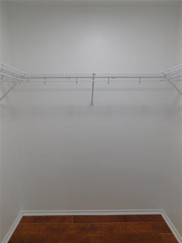 Building Photo - 2905 Lipizzan Dr