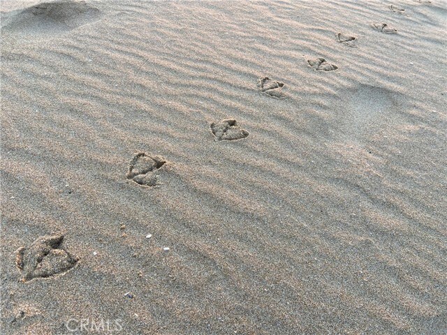 Building Photo - 1720 W Oceanfront