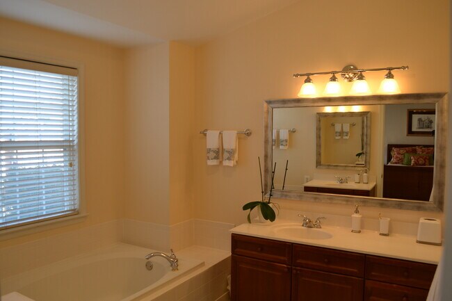 Master bathroom - 3163 Grovehurst Pl