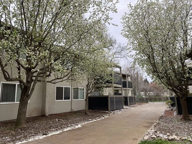 Primary Photo - Menlo Pointe