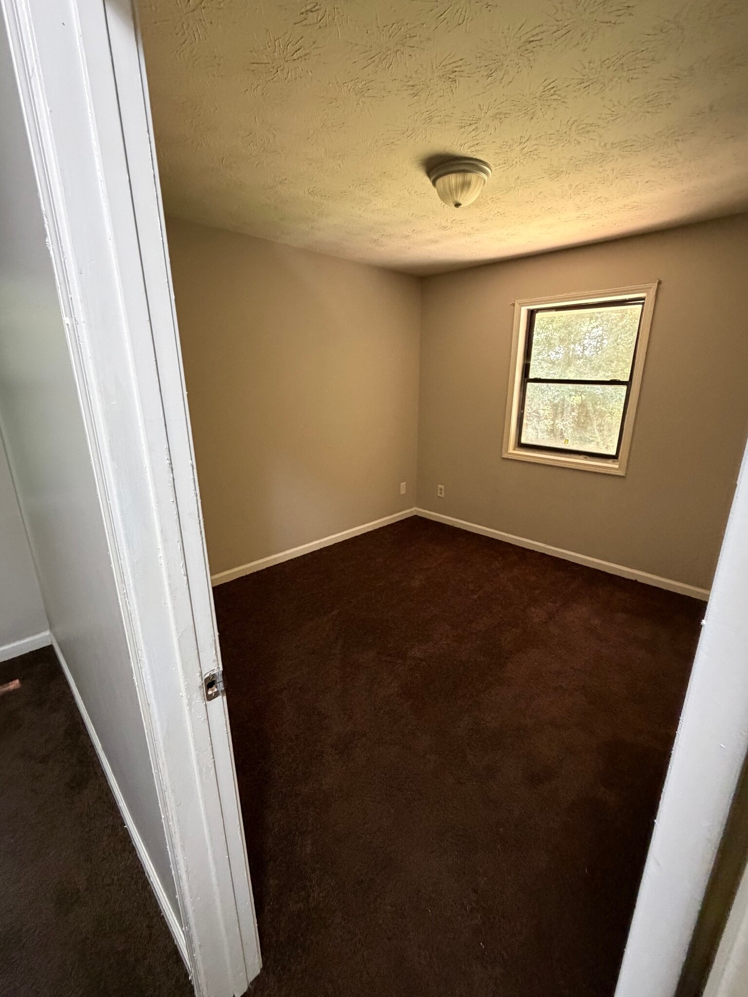 Building Photo - 1386 Williamsburg Ln
