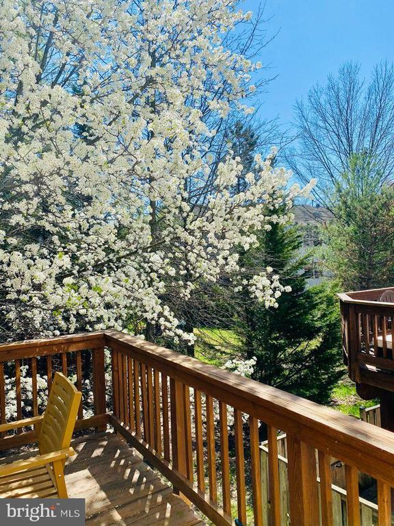 Building Photo - 13231 Copper Cove Way