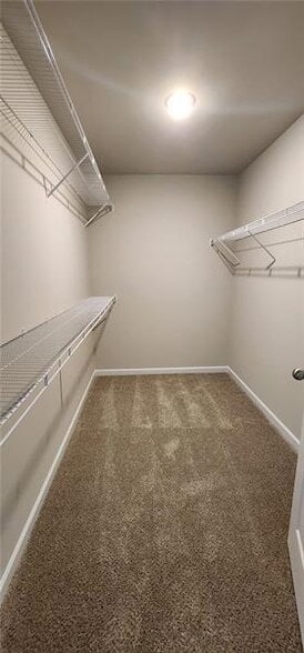 Building Photo - 1476 Fern Ridge Ln