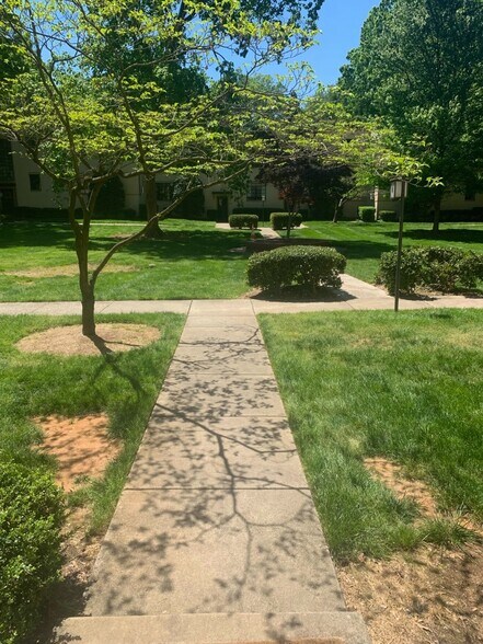 courtyard -exiting view - 1121 Myrtle Ave