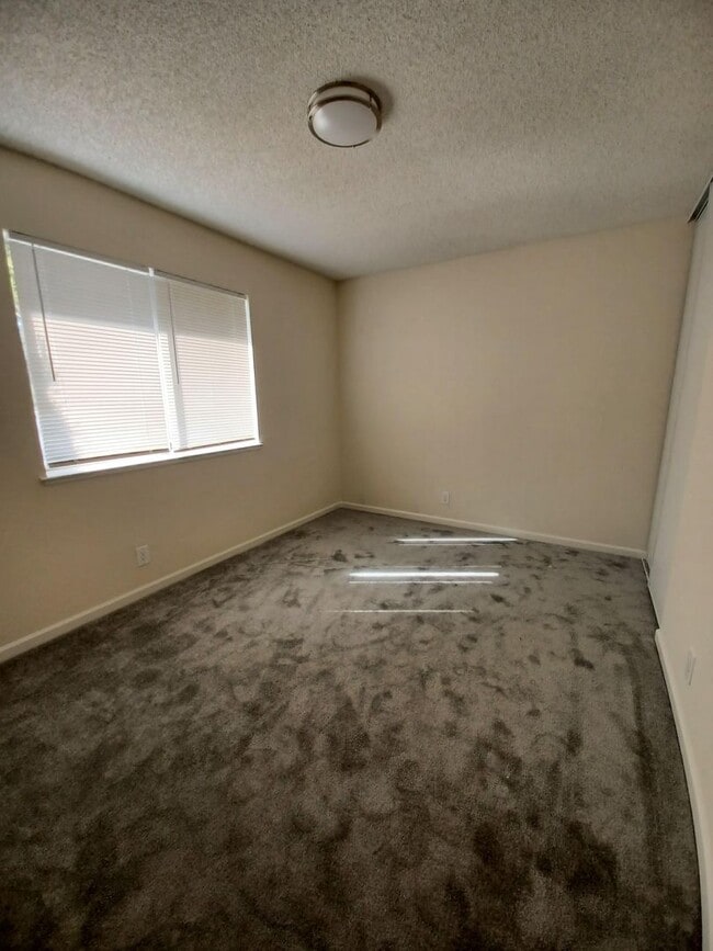 Building Photo - Beautiful 4-Bedroom Home with Spacious Lay...