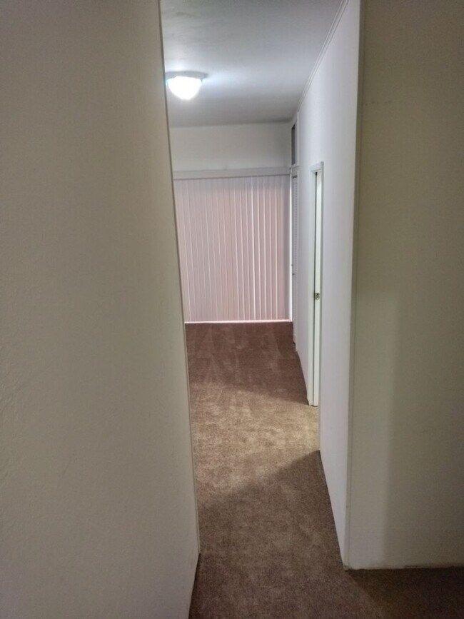 Building Photo - Curtis Street 1311-1315