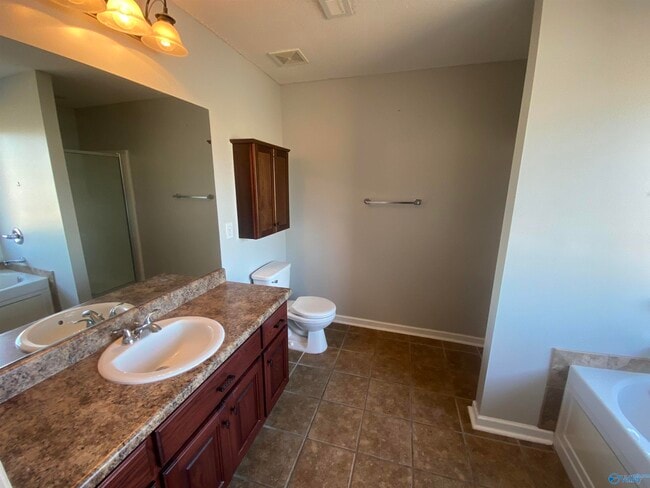 Building Photo - 243 Chestnut Oak Cir