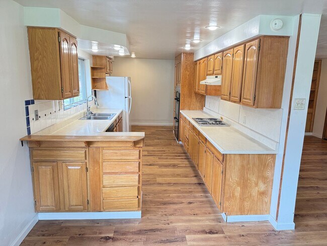 Building Photo - Huge 4 bedroom 2 bath house!