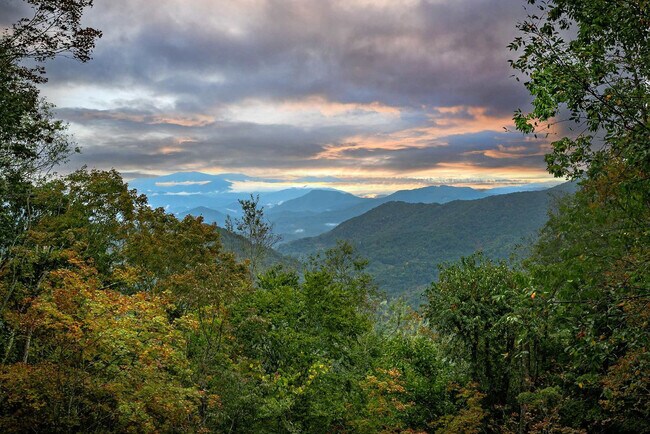 Building Photo - 401 Lookout Dr