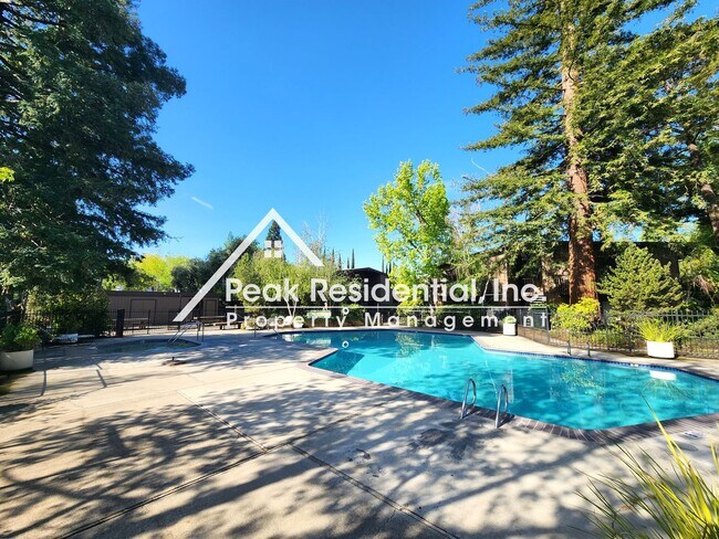 Building Photo - Updated Timberlake 1bd/1ba Condo - Near Sa...