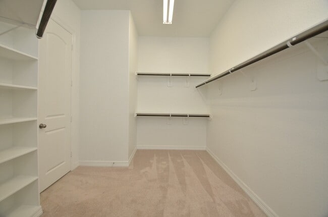 Building Photo - 24023 Tirso River Ct