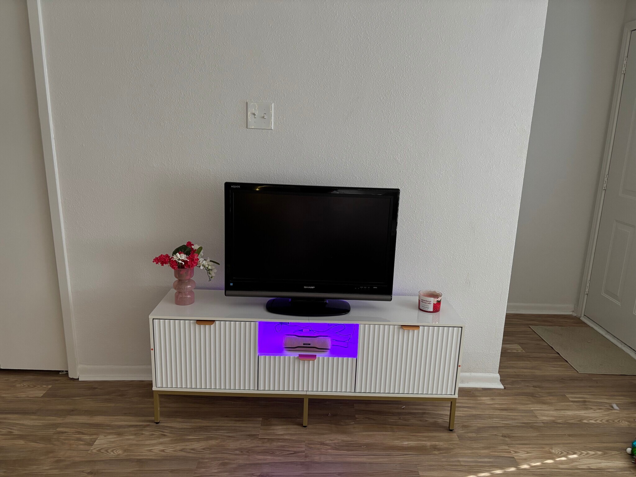 View from couch-furniture included - 1914 Harbour Dr