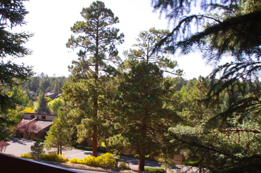 Building Photo - 2605 N Pinon Ridge Dr