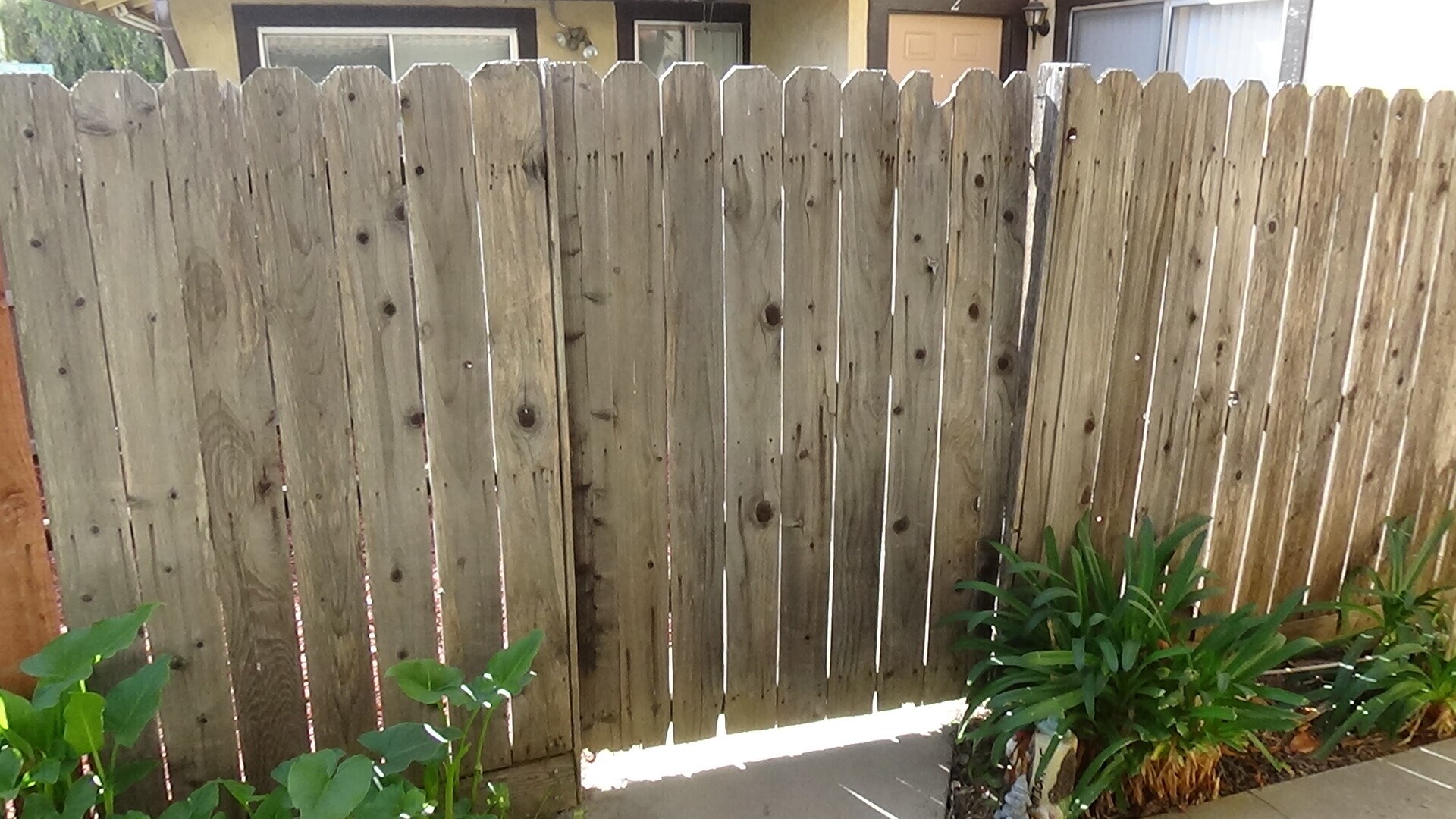 Building Photo - 701 Summerwood Ln