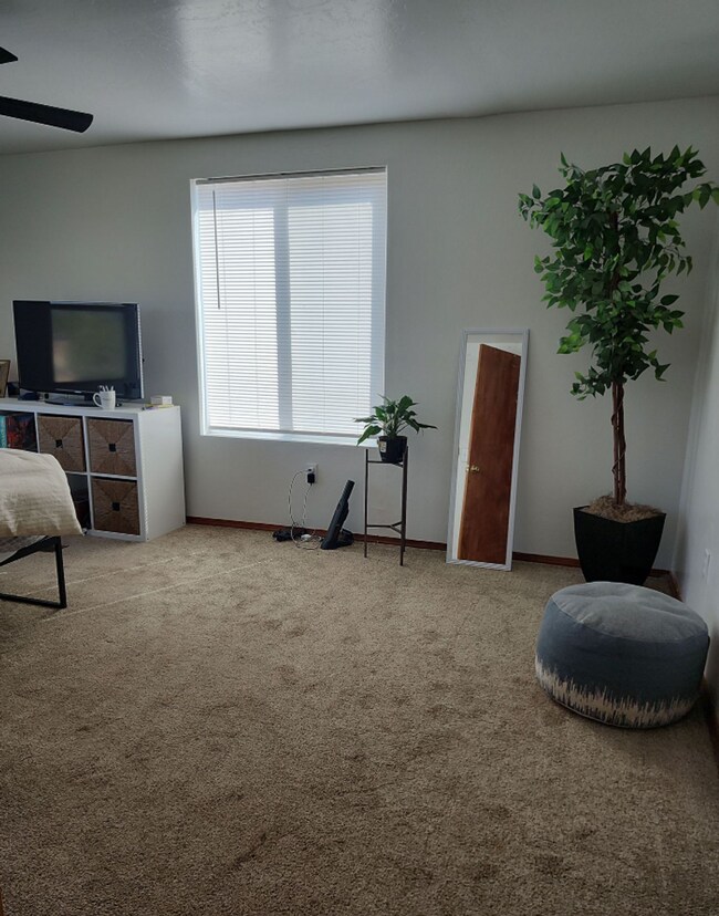 Building Photo - 3 bed 2 bath house