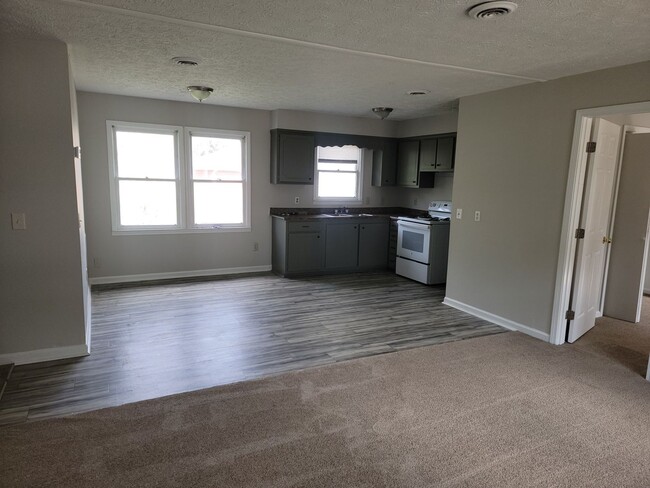 Building Photo - Henry County:  3 bedrooms, 1 Bonus, and 2 baths