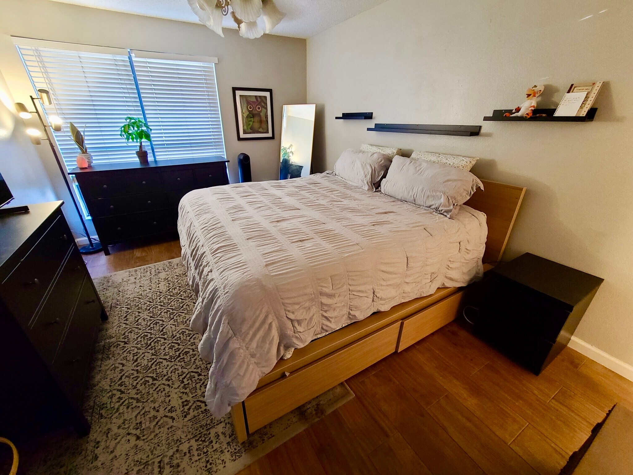 Building Photo - 611 Casa Park D Ct