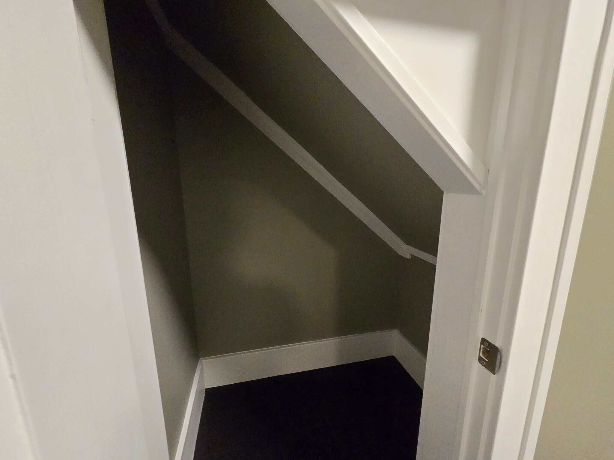 second bed closet - 1019 Widdicomb Ave NW