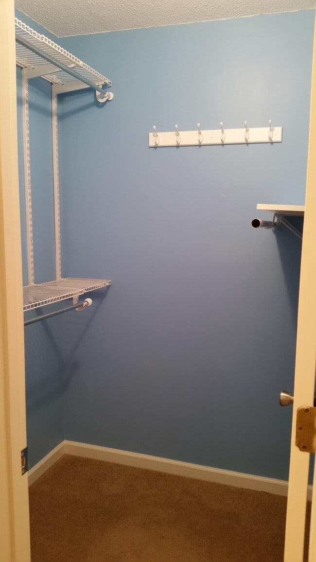 Building Photo - 1200 Black Walnut Ct