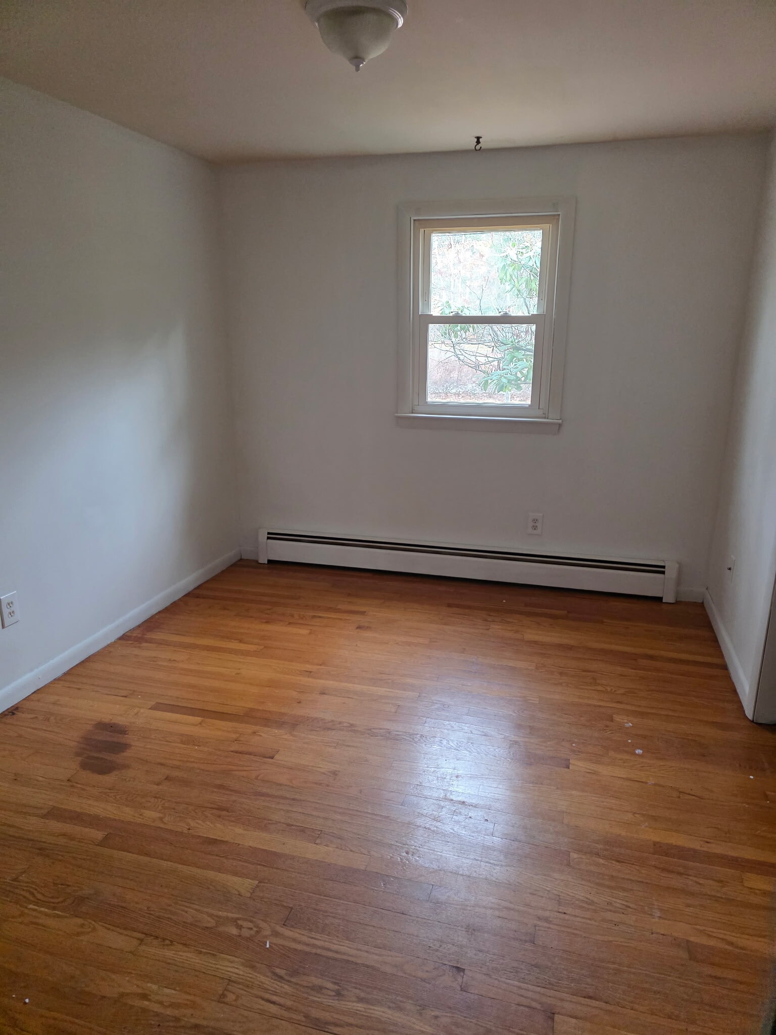 Building Photo - 139 Buck St