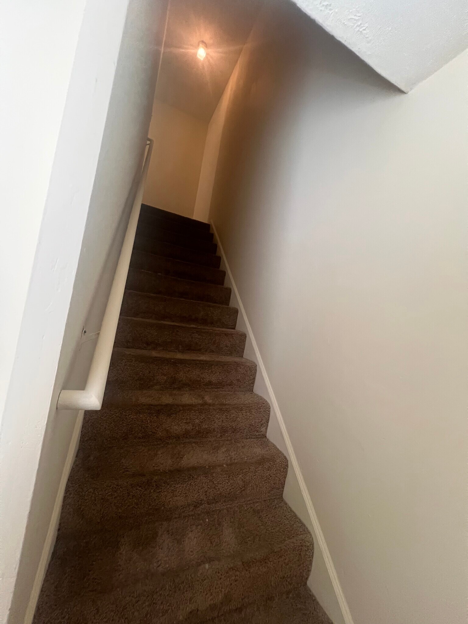 Building Photo - 2801 Styx Ct