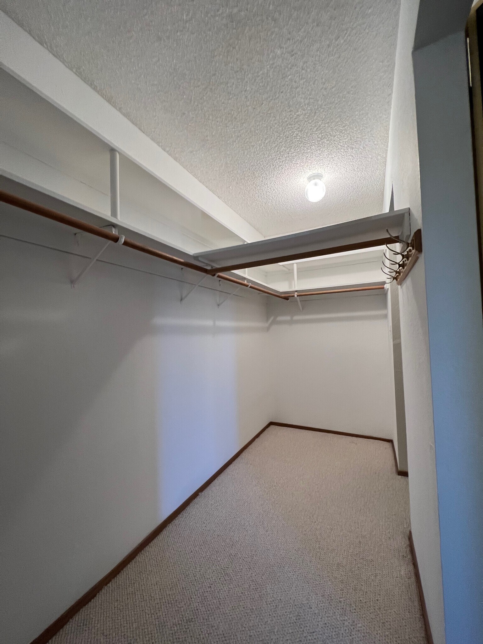Walk in closet - 1290 Sharon Park Dr