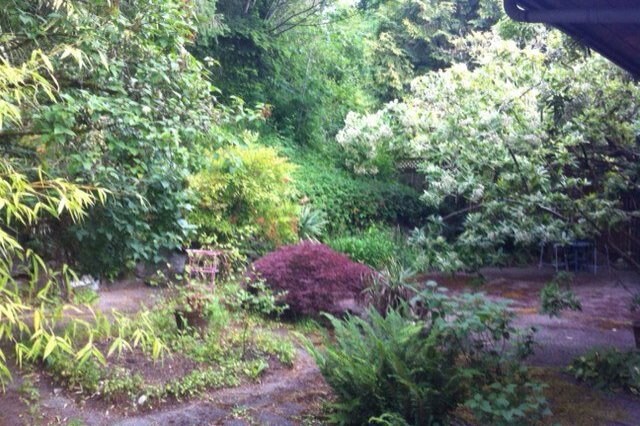backyard - 8700 25th Ave NE