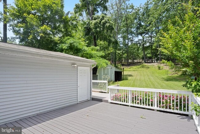 Building Photo - 2652 Collins Ct