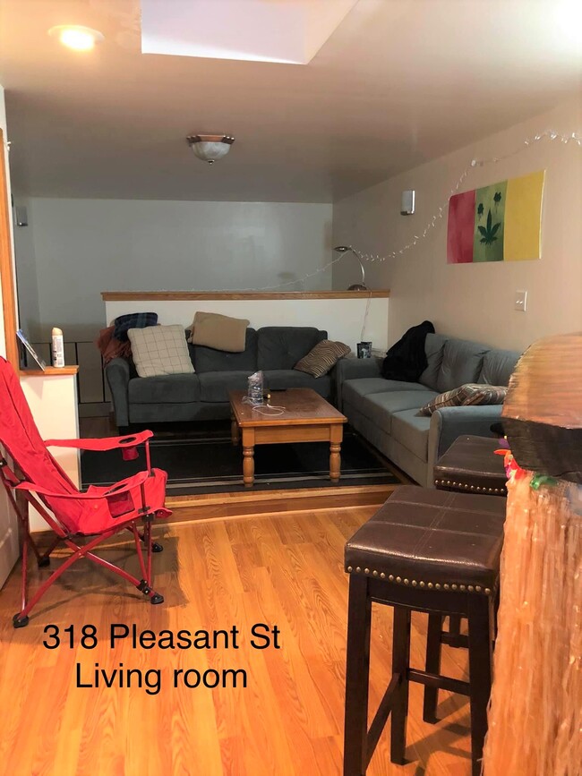 Living room with skylight - 318 Pleasant St