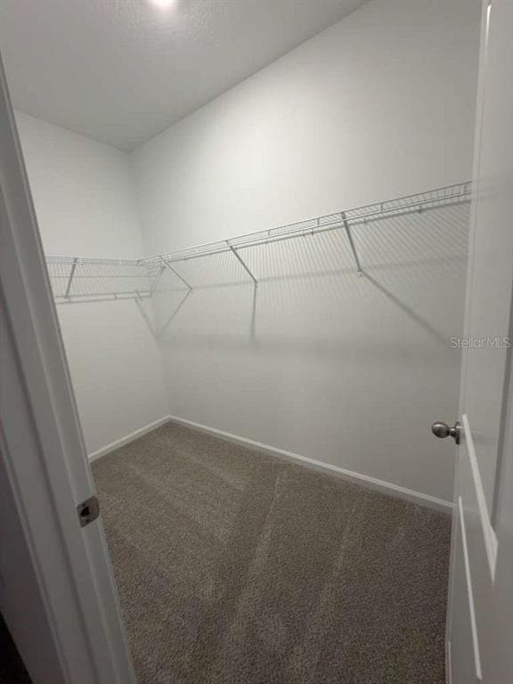 Building Photo - 1656 Pyramid Hl St