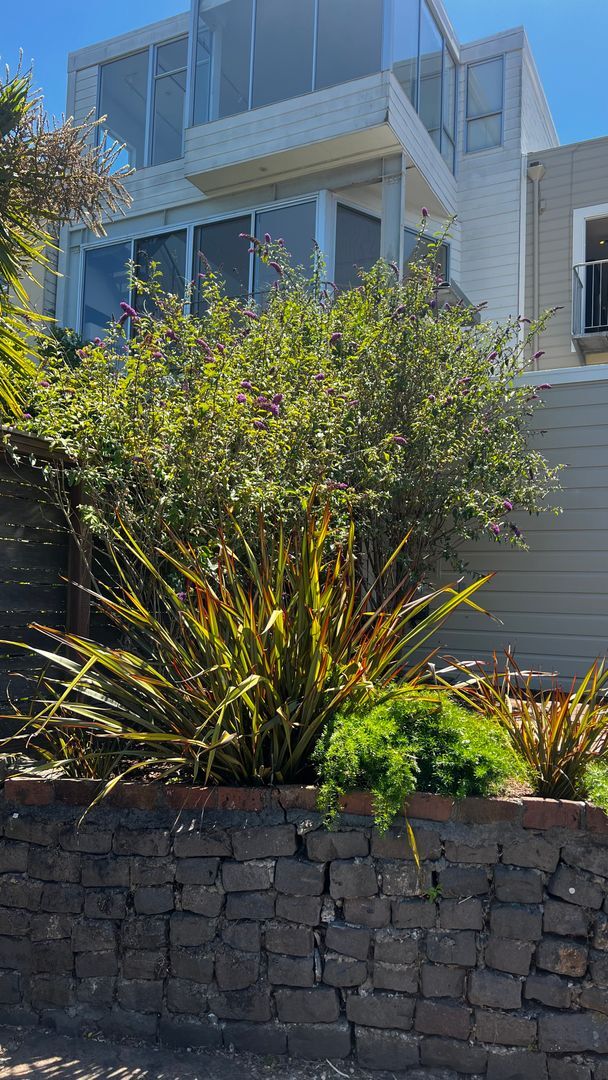 Building Photo - Views for Days Eureka Valley Home.  OPEN HOUSE!!!! THURSDAY, MAY 21 FROM 4:00 PM - 6:30 PM.
