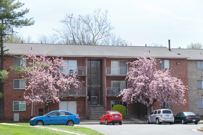 Primary Photo - Colchester Towne