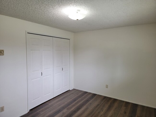 Building Photo - New paint and flooring