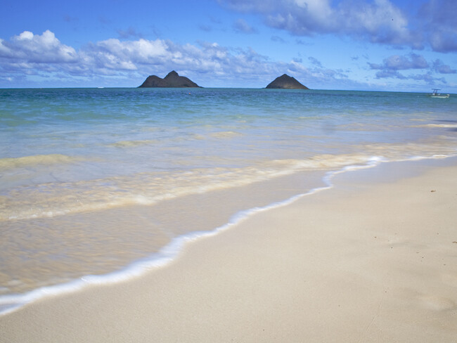 Building Photo - Adorable Beach Style 3 bedroom, 2 bath hom...