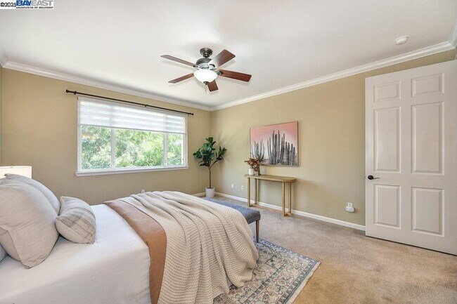Building Photo - 1207 Villagio Dr