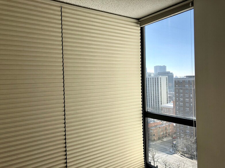 Hunter Douglas light blocking blinds in the bedroom. - 1122 N Clark St