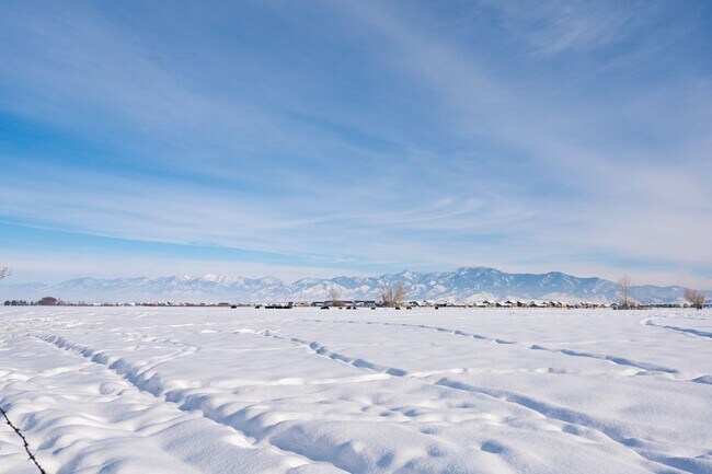 Building Photo - Secluded Cottage with ALL THE VIEWS
