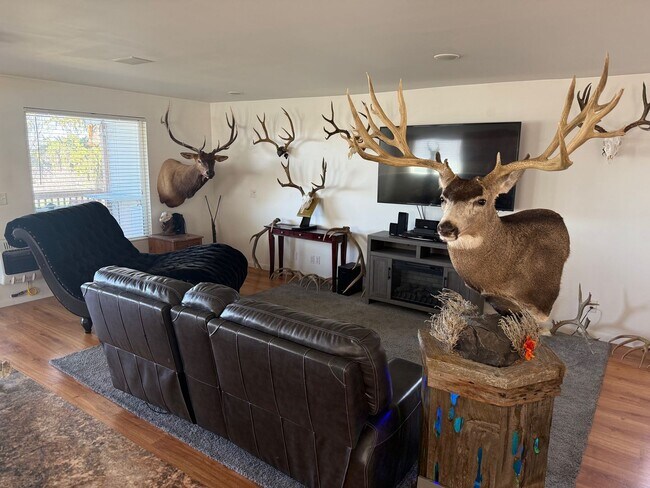 Building Photo - Beautifully updated townhouse with shop / 40'x25' garage / 12' automatic garage door