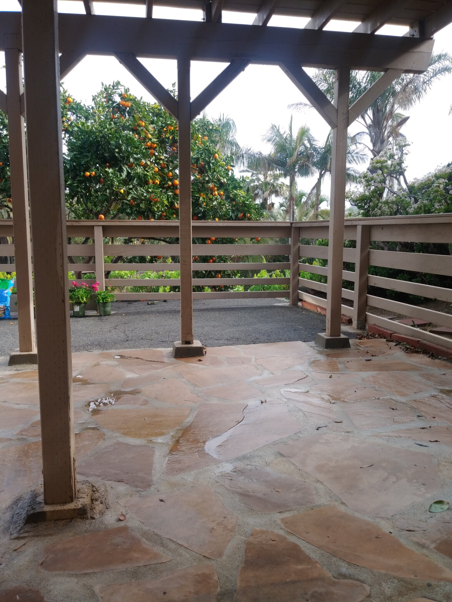 Building Photo - 775 Neptune Ave