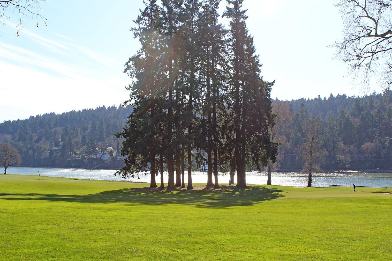 Building Photo - 8834 SE 9th Ave